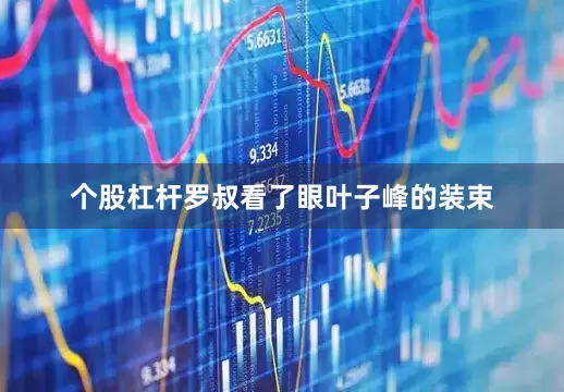 个股杠杆罗叔看了眼叶子峰的装束