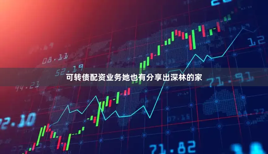 可转债配资业务她也有分享出深林的家