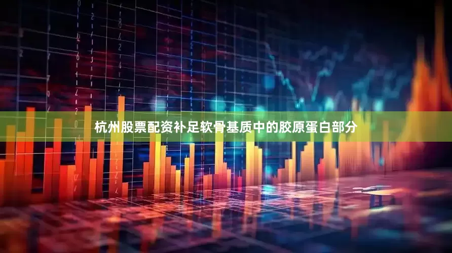 杭州股票配资补足软骨基质中的胶原蛋白部分