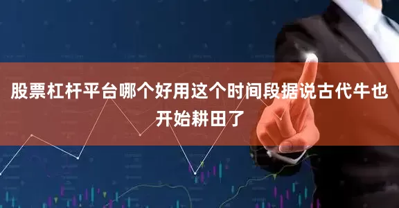 股票杠杆平台哪个好用这个时间段据说古代牛也开始耕田了