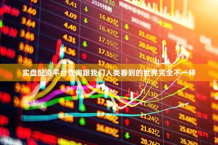 实盘配资平台查询跟我们人类看到的世界完全不一样